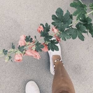 Meet your Posher, Lana